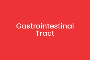 4 Gastrointestinal Tract