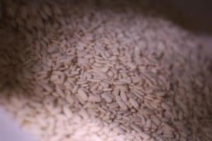 DV Cipro Ciprofloxacin Tablets 02